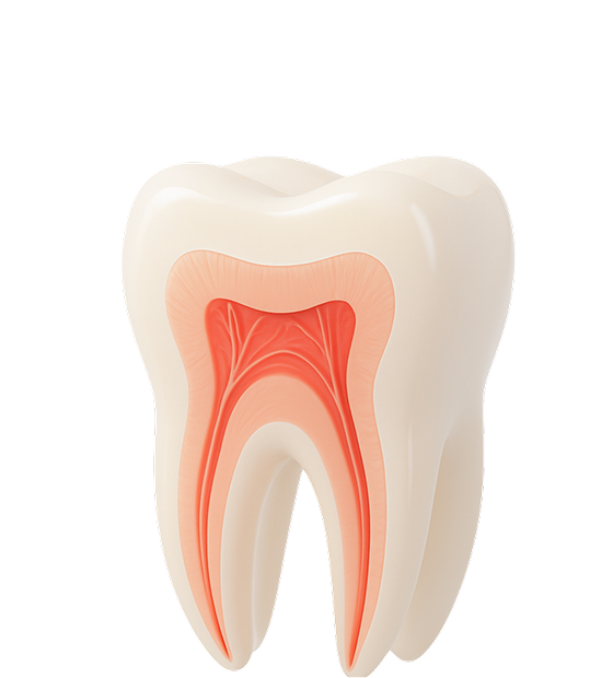 Лечение <strong>корневых каналов</strong>