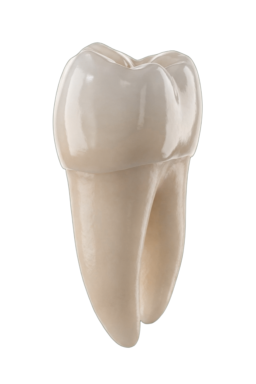 Реставрация <strong>зубов</strong>